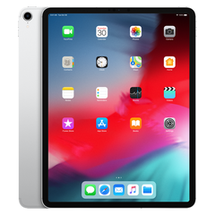 iPad Pro 12.9 inch Silver 256GB wifi