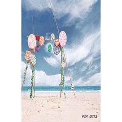 Phông nền 3D chụp trong studio mã số PM--0113 Phông nền 3D chụp trong studio mã số PM--0113