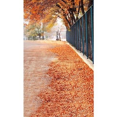 Phông nền 3D chụp trong studio mã số RS-9388 Phông nền 3D chụp trong studio mã số RS-9388