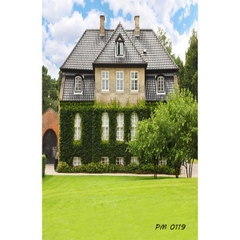 Phông nền 3D chụp trong studio mã số PM--0119 Phông nền 3D chụp trong studio mã số PM--0119