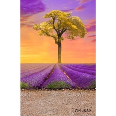 Phông nền 3D chụp trong studio mã số PM--0120 Phông nền 3D chụp trong studio mã số PM--0120