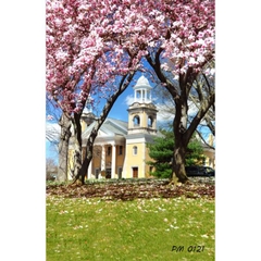 Phông nền 3D chụp trong studio mã số PM--0121 Phông nền 3D chụp trong studio mã số PM--0121