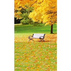 Phông nền 3D chụp trong Studio mã số KJ-1033 Phông nền 3D chụp trong Studio mã số KJ-1033