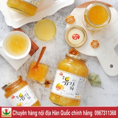 Mật Chanh Mật Ong Gavo Fram Hàn Quốc 580g/lọ - Mật Ong Chanh Hàn Quốc 580g