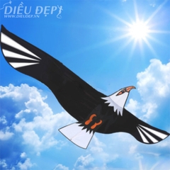 DIỀU ĐẠI BÀNG 2M