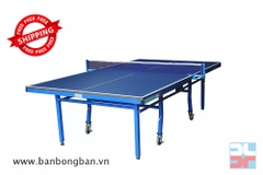 Bàn bóng bàn Đức Long TĐ-02