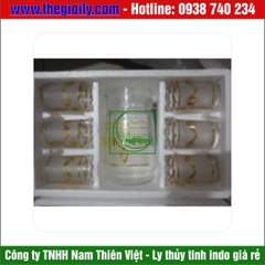 Bộ bình ly thủy tinh  Vuông 05