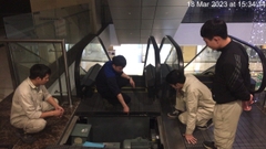 BẢO TRÌ THANG MÁY VÀ NHỮNG ĐIỂU CẦN BIẾT BẢO TRÌ THANG MÁY VÀ NHỮNG ĐIỂU CẦN BIẾT