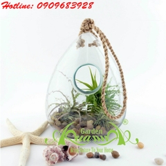 CÂY KHÔNG KHÍ BÀY BÁN Ở SÀI GÒN - ZING.VN