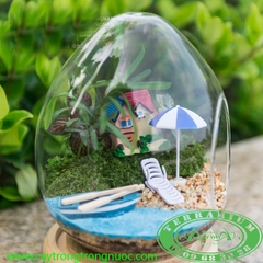 Terrarium 157 - Gió Biển