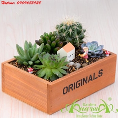 Hộp Gỗ Originals chữ nhật - Terrarium AquaGarden