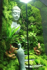 Terrarium 331 - Bình Yên Nơi Chủng Viện