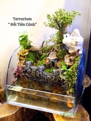 Terrarium 76  - Đồi Tiên Cảnh