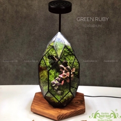 Terrarium 226 - Green Ruby