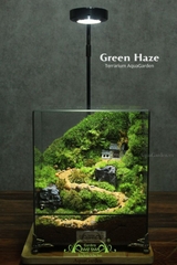 Terrarium 267 - GREEN HAZE