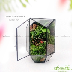 Terrarium 104 - Jungle In Summer