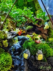 Terrarium 339 -  Lost in Fairytale