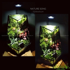 Terrarium 130 - GAIA Forest - Nature Song