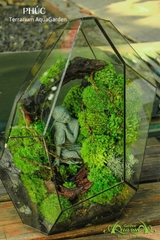 Terrarium 26 - PHÚC