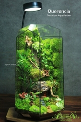 Terrarium 329 - Querencia