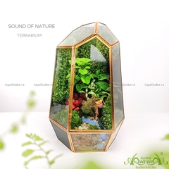 Terrarium 125 - Sound Of Nature