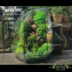 Terrarium 05 - Sunrise