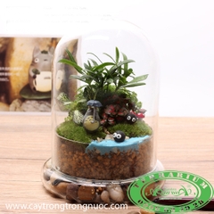 Terrarium 141 - Khu Rừng Của Toroto