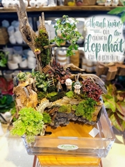 Terrarium 75  - Thời Thanh Xuân Đẹp Nhất