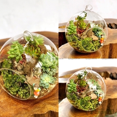 Terrarium 01 - Enjoy The Journey