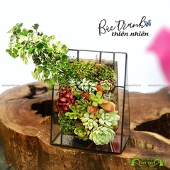 Terrarium 03 - Bức Tranh Thiên Nhiên