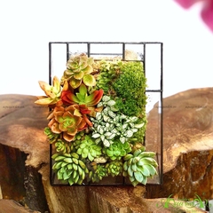 Terrarium 04 -  LIFE is beautiful