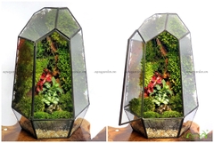 Terrarium 120 - Thanh Sắc