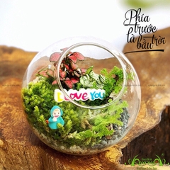 Terrarium 02 - Phía Trước Là Bầu Trời