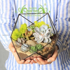 Terrarium 145 - Chờ Ngày Lời Hứa Nở Hoa