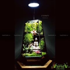 Terrarium 110 - Eternity