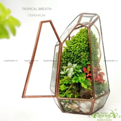 Terrarium 239 - Tropical Breath