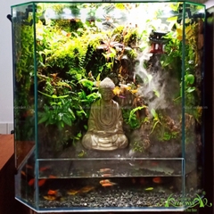 Terrarium 71 - Thanh Thản Hồ