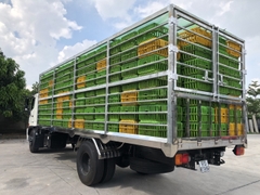 Xe Tải Hino 6.5 Tấn Chở Gia Cầm  – FG8JT7A