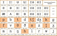 Bảng chữ cái IPA: Hướng dẫn cách phát âm chuẩn quốc tế