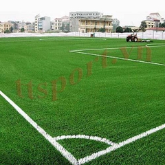 Cỏ nhân tạo FieldTurf Tarkett