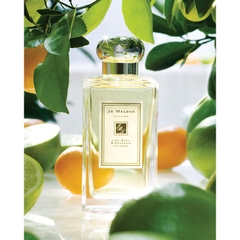 Jo Malone Lime Basil & Mandarin Jo Malone Lime Basil & Mandarin