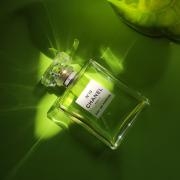 Chanel No.19 Eau de Parfum