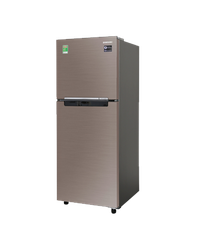 Tủ Lạnh Samsung Inverter 208 Lít RT20HAR8DDXSV