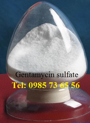 bán thuốc thủy sản Gentamycin sulfate, gentamicin sunphat