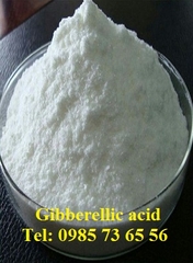 bán GA3, Gibberellic acid, Gibberellin A3, C19H22O6