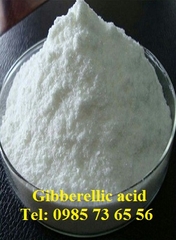 bán Gibberellic acid, Gibberellin A3, GA3, C19H22O6 bán Gibberellic acid, Gibberellin A3, GA3, C19H22O6