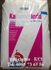 Kali Clorua, Potassium Chloride, KCl