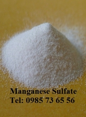 bán mangan sunphat, Manganese Sulfate, MnSO4