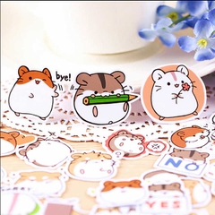 Xưởng in sticker Hà Nội: giá rẻ, nhanh chóng