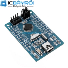 Kit phát triển STM32F051C8T6 ARM Cortex-M0